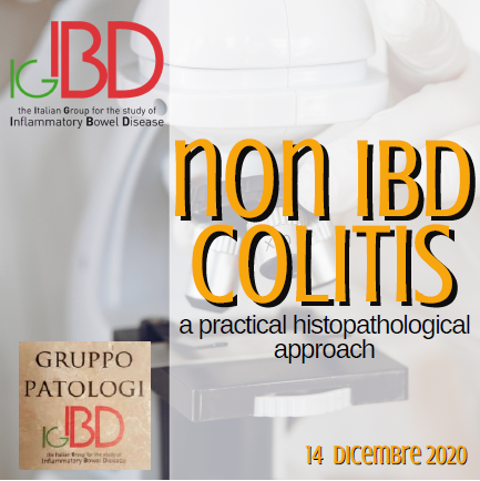 Non IBD Colitis. A practical histopathological approach